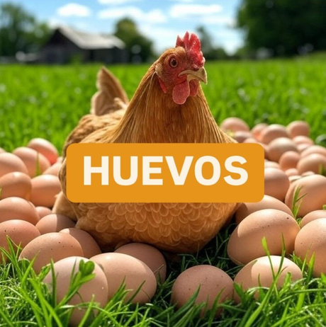 Huevos