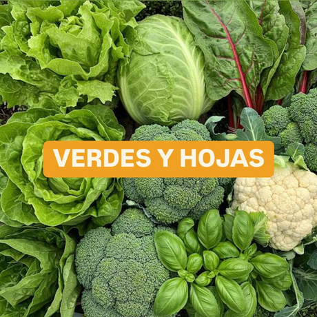 Verdes y Hojas