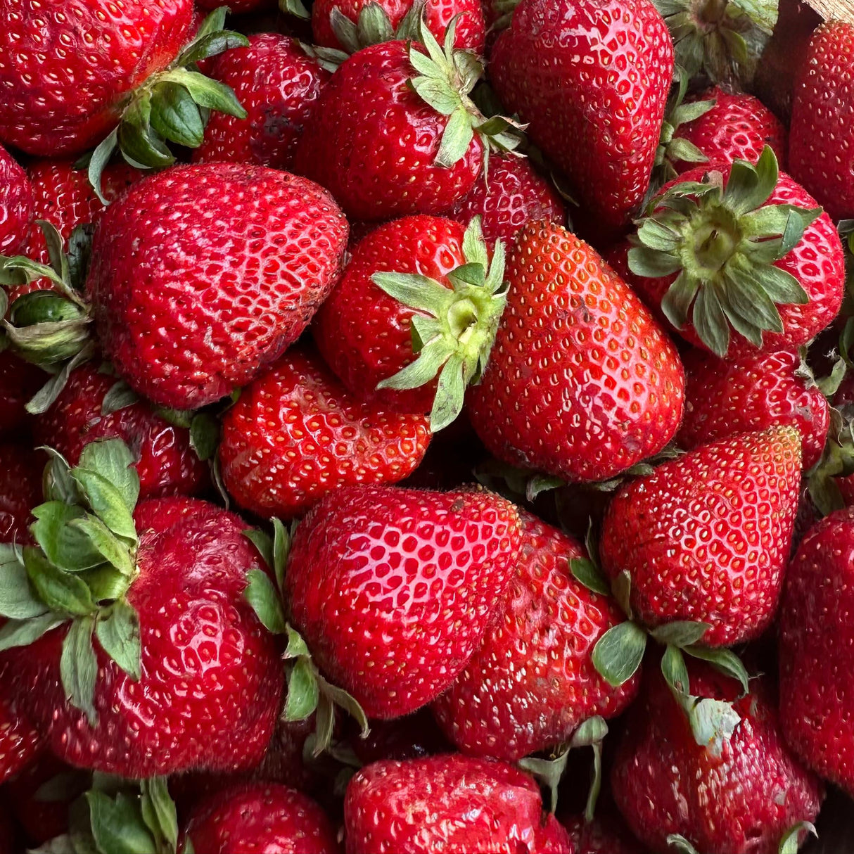 FRUTILLA - 4 KILOS *CONSULTAR PRECIO*