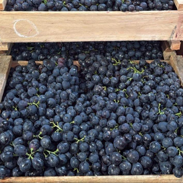UVA MOSCATEL - 10 KILOS IMPORTADA