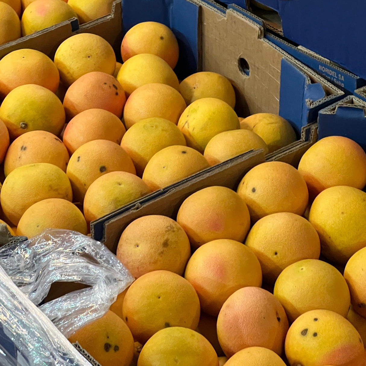 POMELO ROSADO - 20 KILOS