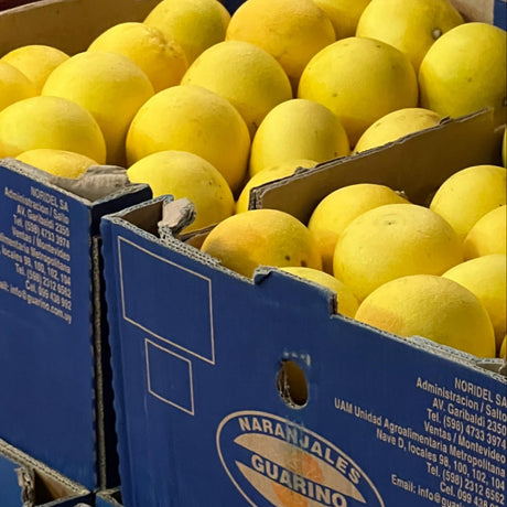 POMELO BLANCO - 15 KILOS