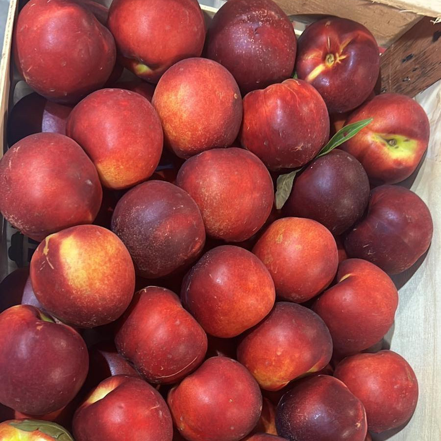 PELON AMARILLO - 10 KILOS