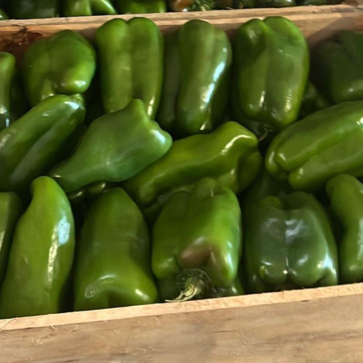 MORRON VERDE - CAJON-