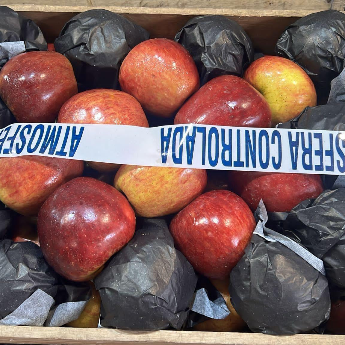 MANZANA RED ESPECIAL- 11 KILOS