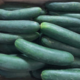 PEPINO 10 KILOS PLANCHA