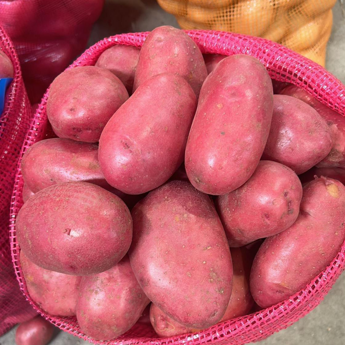 PAPA ROSADA MAGIC - 25 KILOS