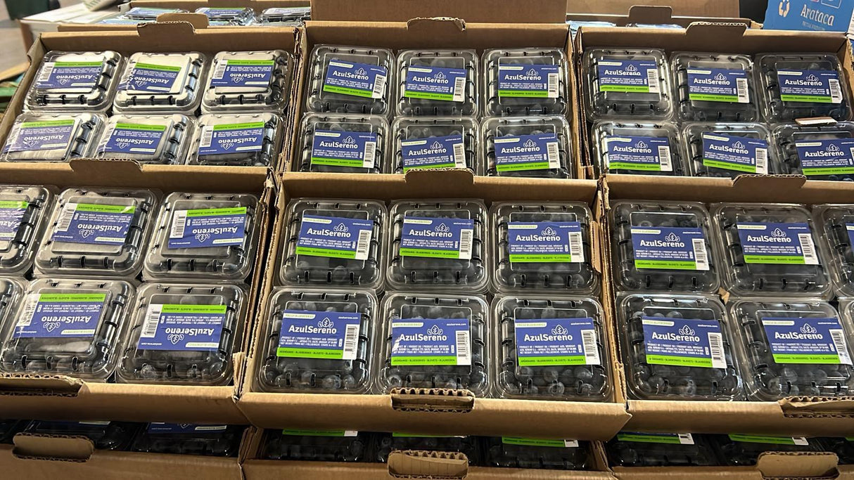 ARANDANO- 12 PETACAS