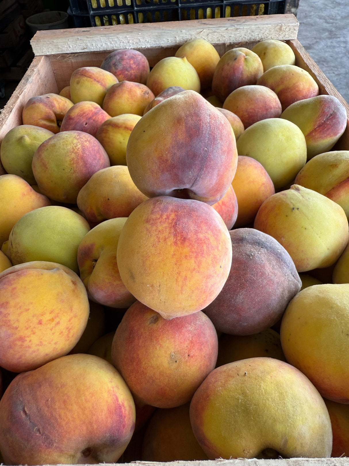 DURAZNO MEDIANO - 10 KILOS