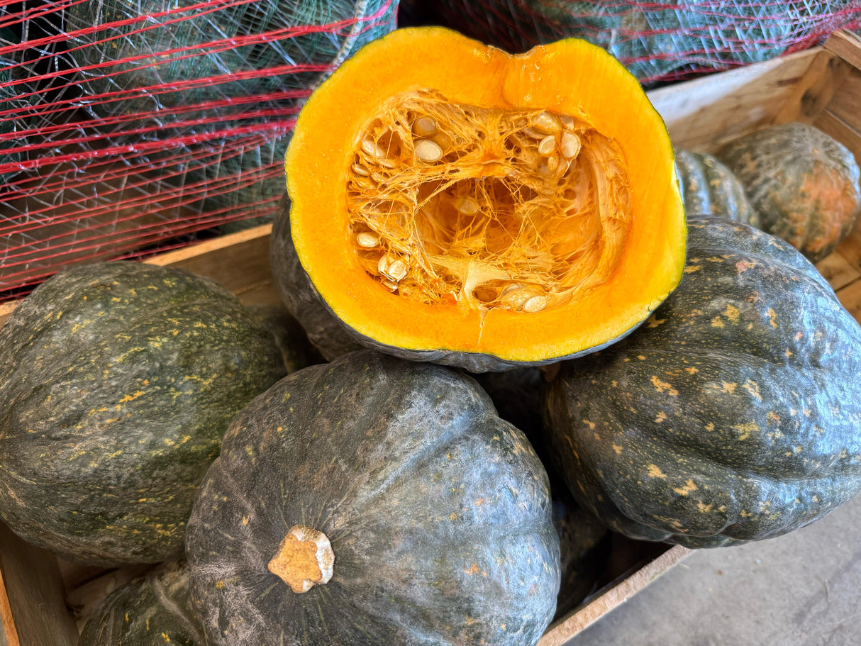 ZAPALLO CABUTIA - 20 KILOS