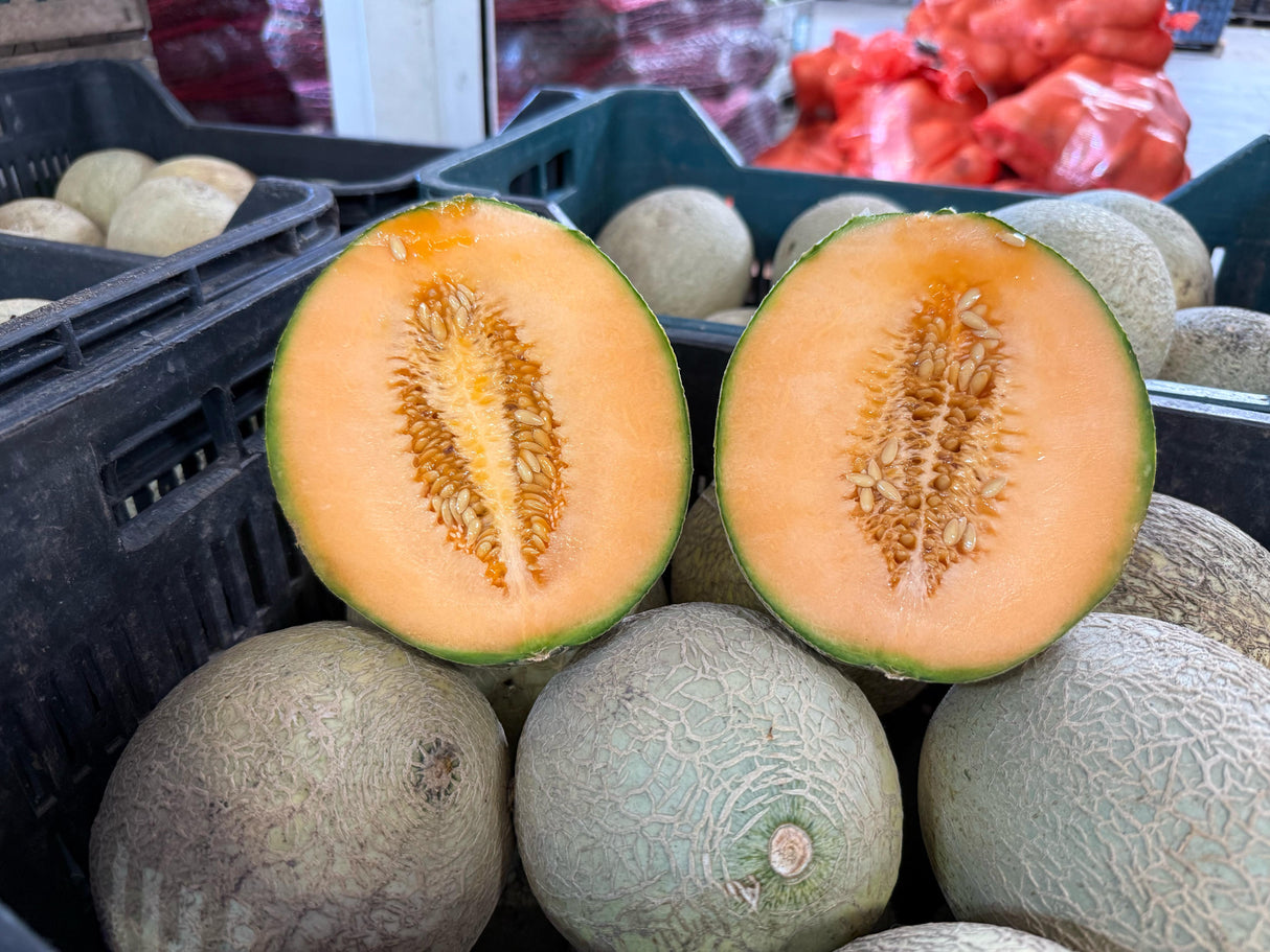 MELON- 12 KILOS
