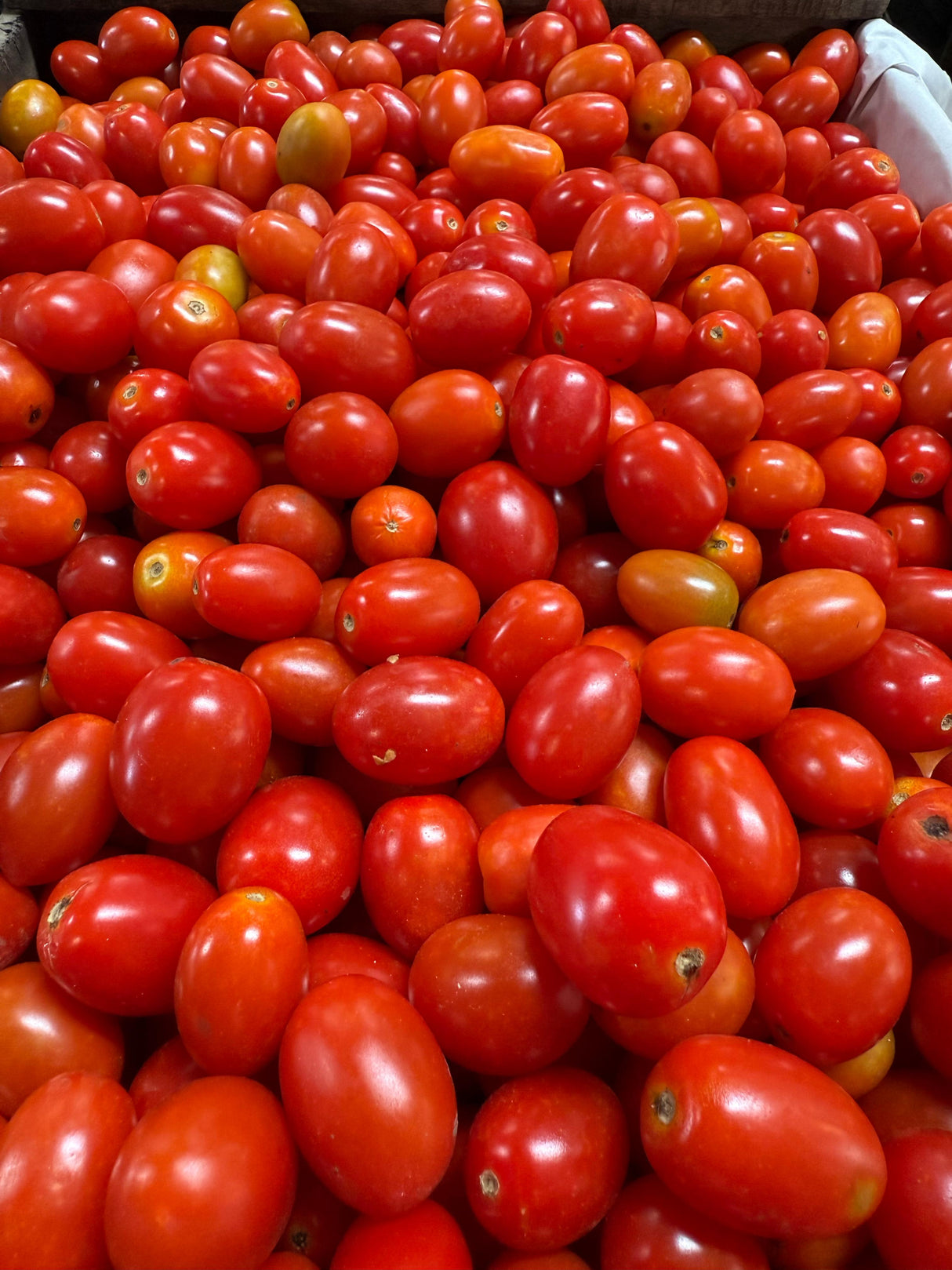 TOMATE CHERRY - 10 KILOS