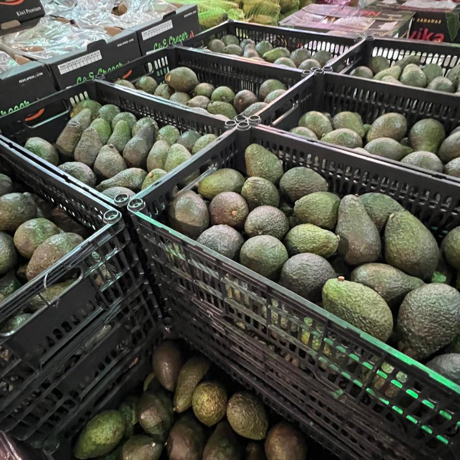 PALTA HASS 10 KILOS