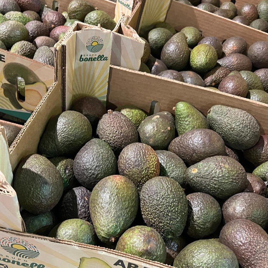 PALTA HASS 18 KILOS