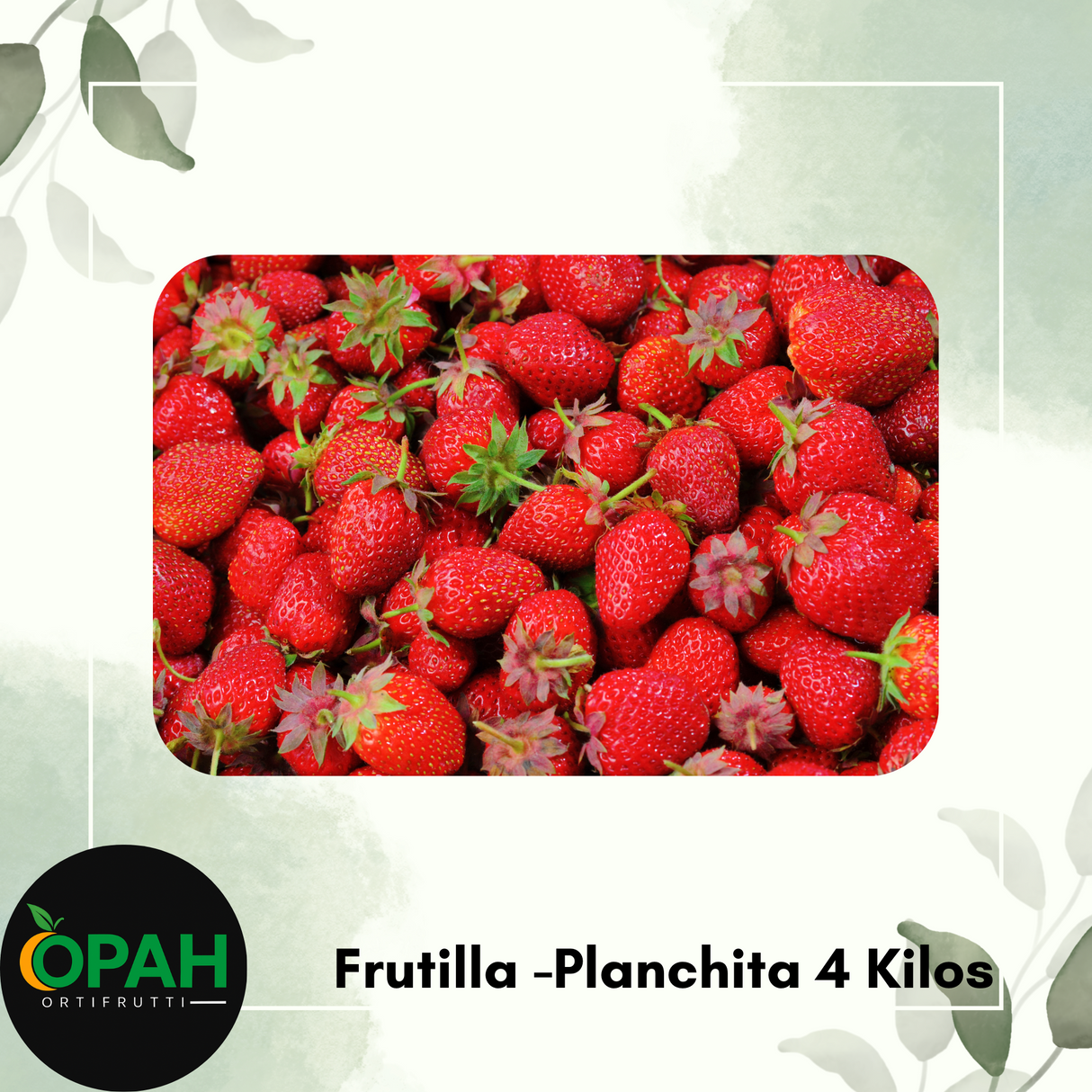FRUTILLA - 4 KILOS *CONSULTAR PRECIO*