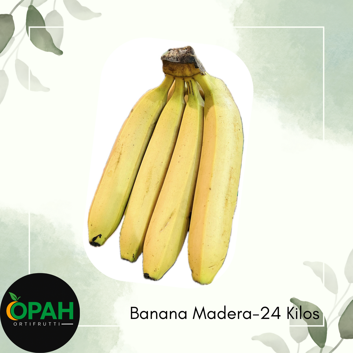 BANANA MADERA-24 KILOS
