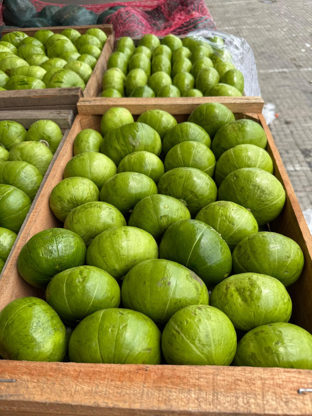 ZAPALLITO - 18 KILOS-