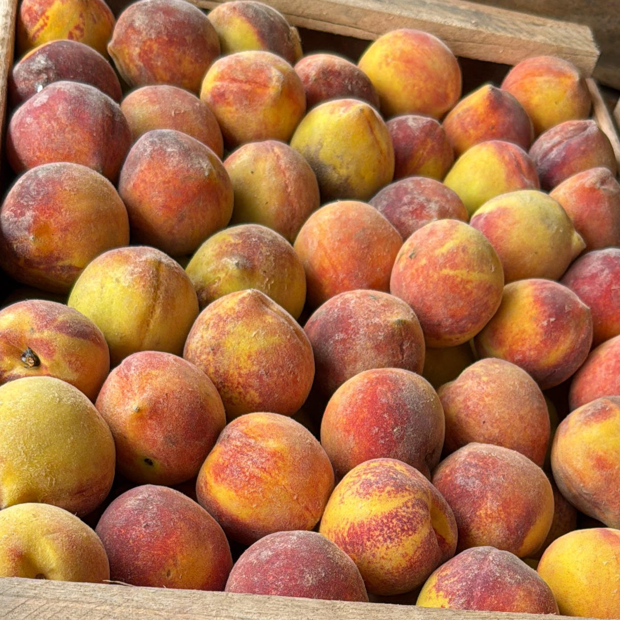 DURAZNO GRANDE - 10 KILOS