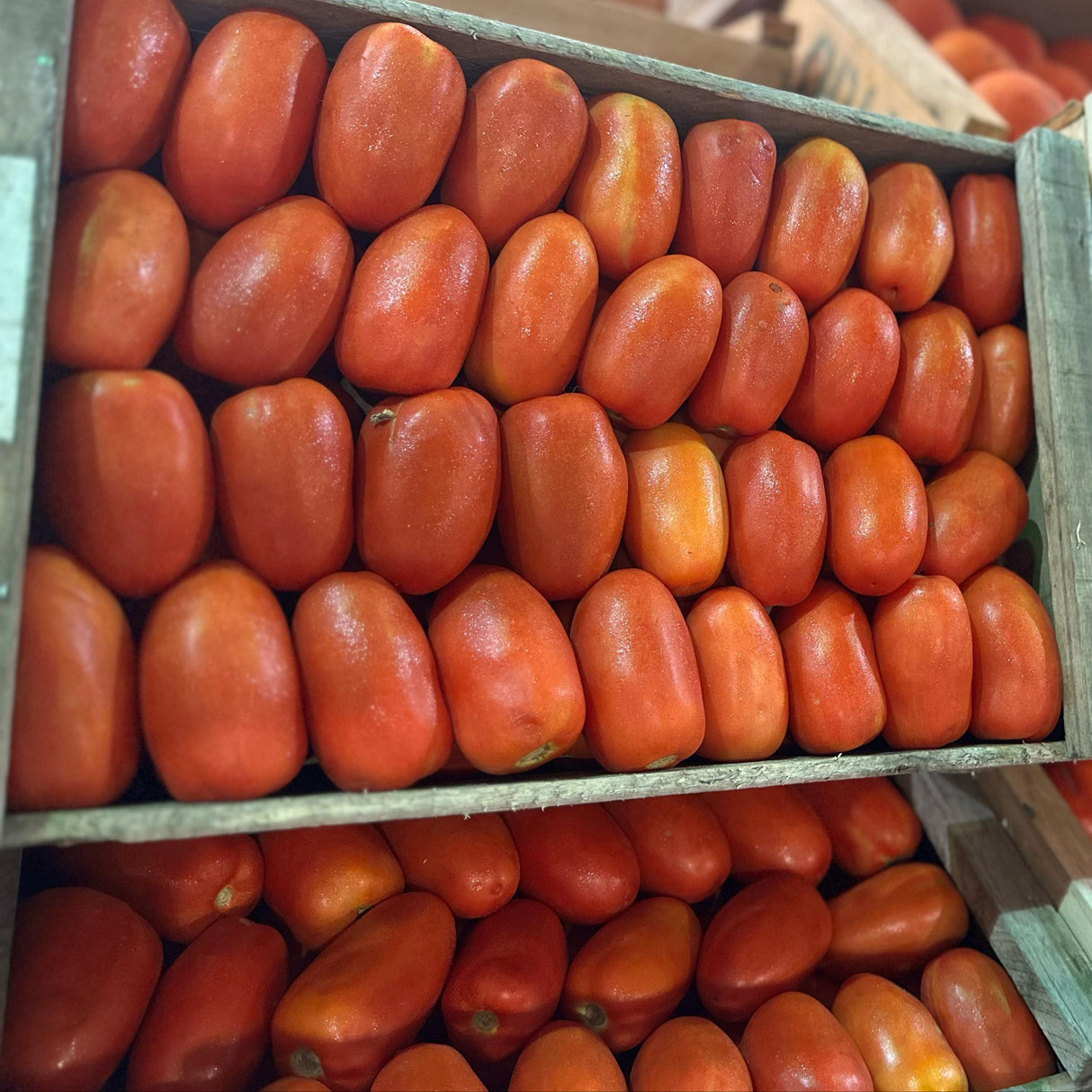 TOMATE PERITA - 11 KILOS