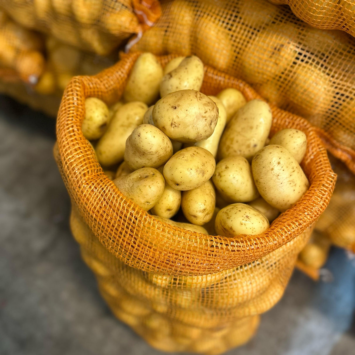 PAPA BLANCA BUENA - 25 KILOS