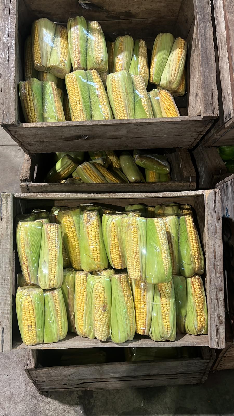 CHOCLO CHALA COMUN BOLSA