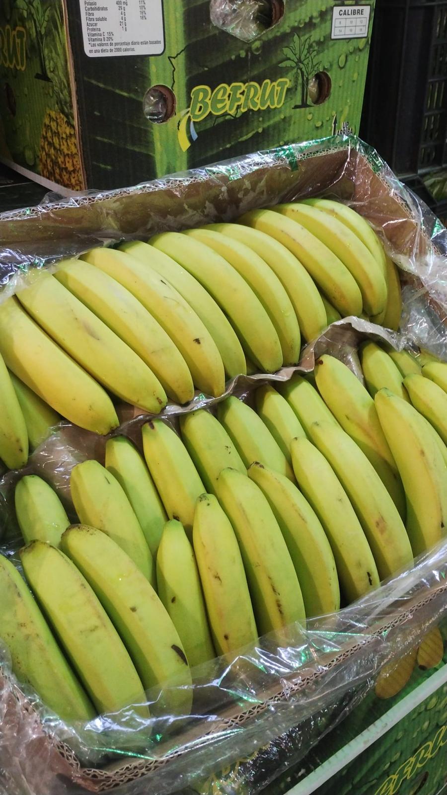BANANA ECUADOR- 20 KILOS