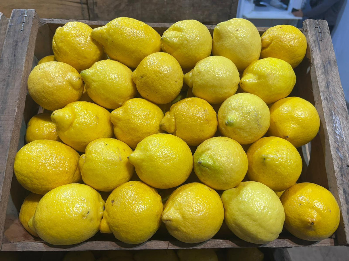 LIMON NACIONAL ESPECIAL - CAJON 20 KILOS