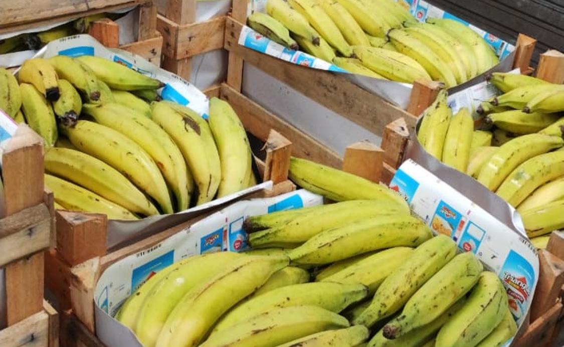 BANANA MADERA-24 KILOS