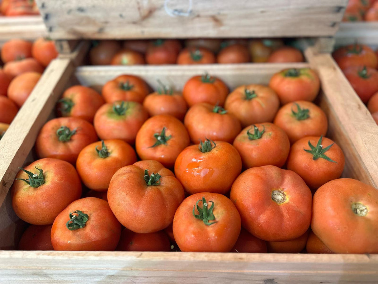 TOMATE AMERICANO ESPECIAL - 11 KILOS