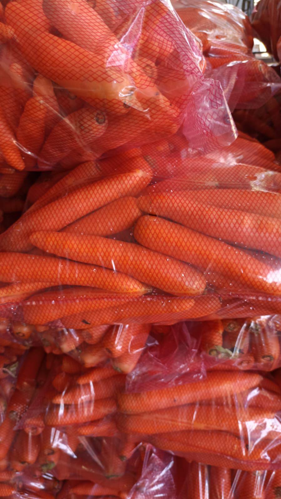 ZANAHORIA - 20 KILOS MEDIANA